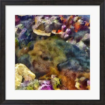 Framed Sea Life IV Print