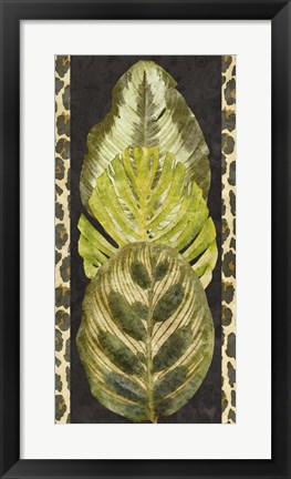 Framed Tropic Collection V Print