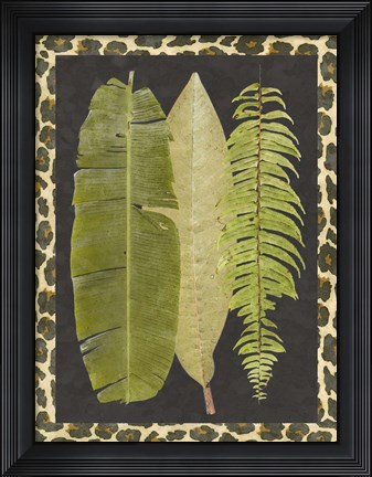 Framed Tropic Collection VI Print