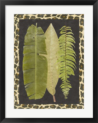Framed Tropic Collection VI Print
