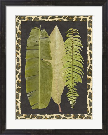 Framed Tropic Collection VI Print
