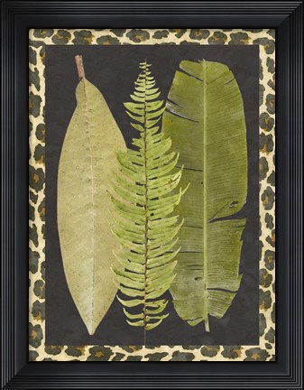 Framed Tropic Collection VII Print