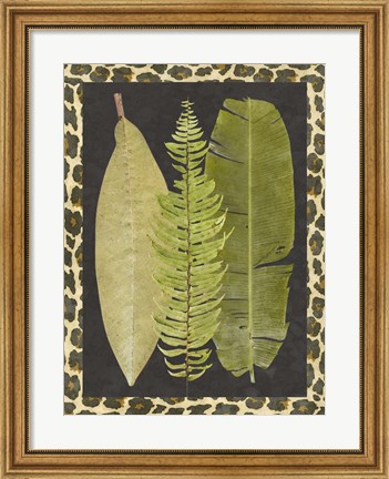 Framed Tropic Collection VII Print