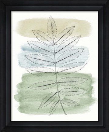 Framed Spring Branch II Print