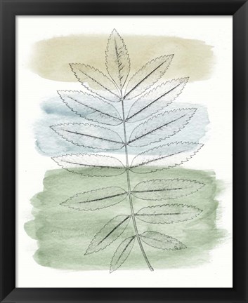 Framed Spring Branch II Print