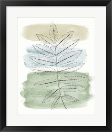 Framed Spring Branch II Print