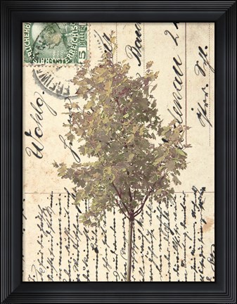 Framed In Good Spirits II Print