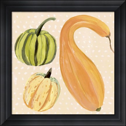 Framed Decorative Gourd I Print