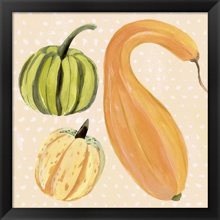 Framed Decorative Gourd I Print