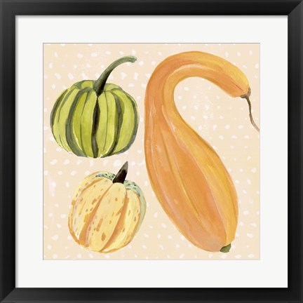 Framed Decorative Gourd I Print