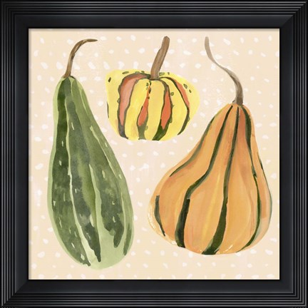 Framed Decorative Gourd II Print