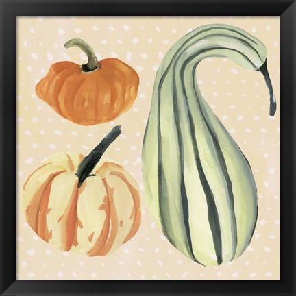 Framed Decorative Gourd III Print