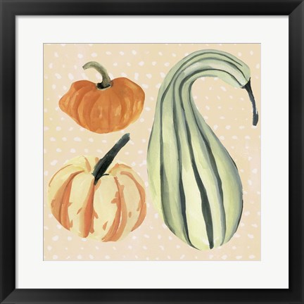 Framed Decorative Gourd III Print