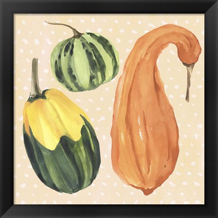 Framed Decorative Gourd IV Print