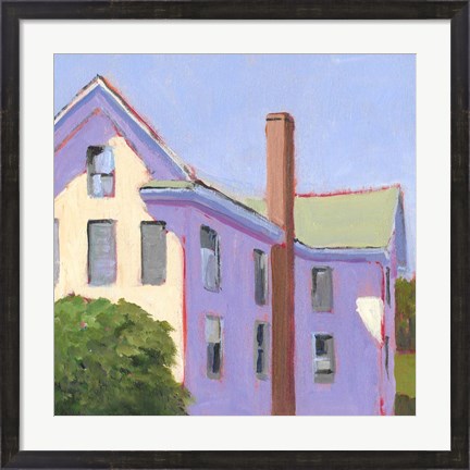 Framed Bucolic Structure IV Print