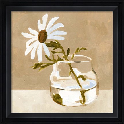 Framed Solitary Daisy I Print