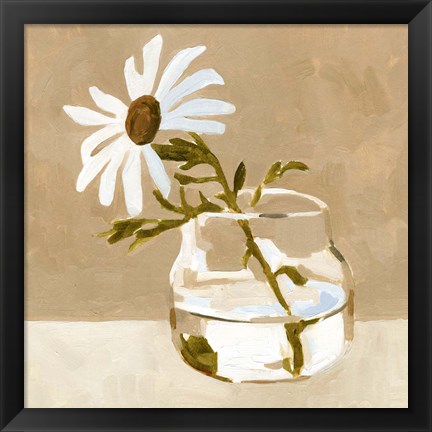 Framed Solitary Daisy I Print