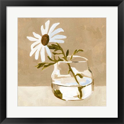 Framed Solitary Daisy I Print