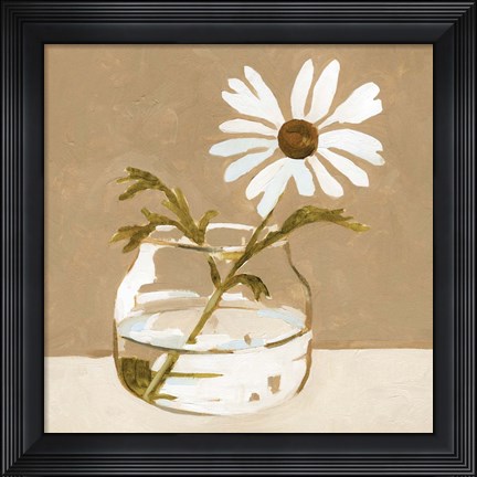 Framed Solitary Daisy II Print