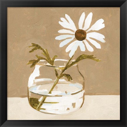 Framed Solitary Daisy II Print