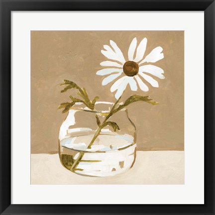 Framed Solitary Daisy II Print