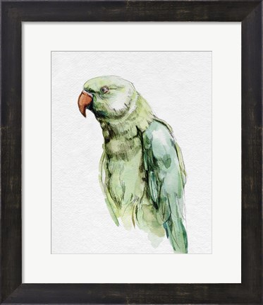 Framed Bright Parrot Portrait I Print