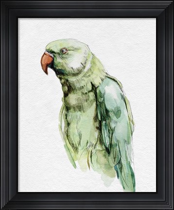 Framed Bright Parrot Portrait I Print