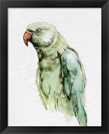 Framed Bright Parrot Portrait I Print