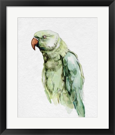 Framed Bright Parrot Portrait I Print