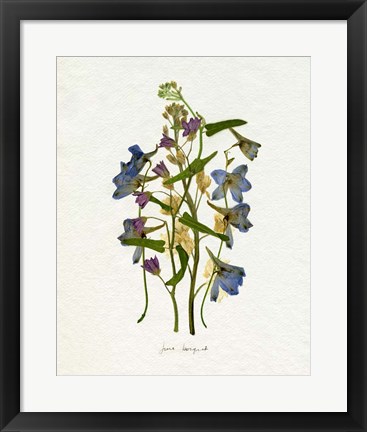 Framed Pressed June Arrangement I Print