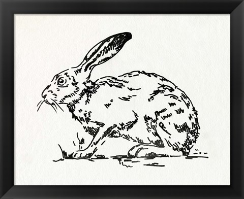 Framed Resting Hare I Print