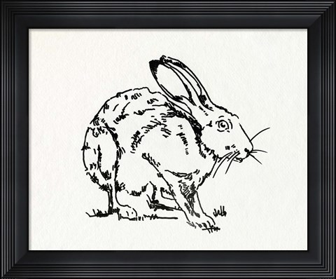 Framed Resting Hare II Print