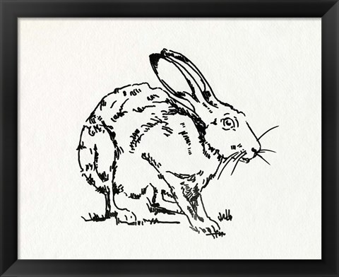 Framed Resting Hare II Print