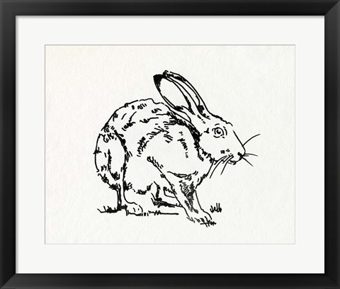 Framed Resting Hare II Print