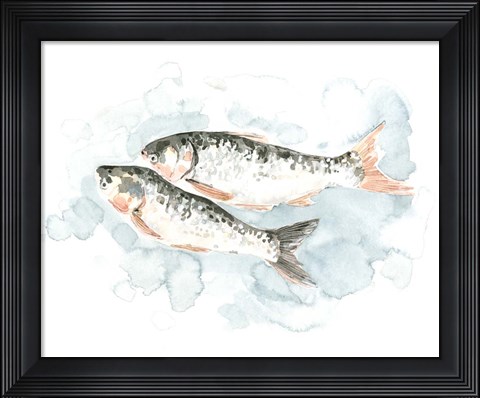 Framed Pisces Pair I Print