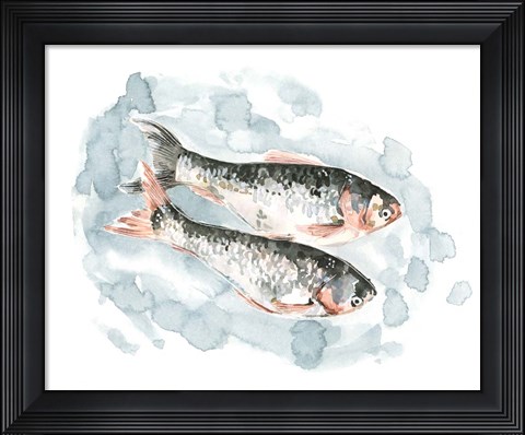 Framed Pisces Pair II Print