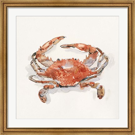 Framed Crusty Crab II Print