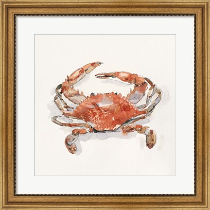 Framed Crusty Crab II Print