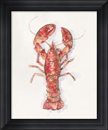 Framed Salty Lobster I Print
