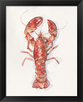 Framed Salty Lobster I Print