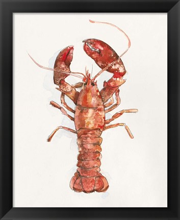 Framed Salty Lobster II Print