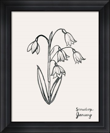 Framed Annual Flowers I Print