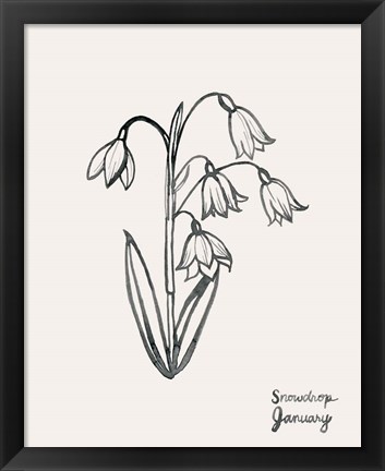 Framed Annual Flowers I Print