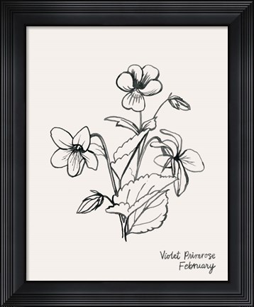 Framed Annual Flowers II Print