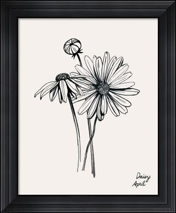 Framed Annual Flowers IV Print