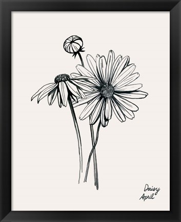 Framed Annual Flowers IV Print