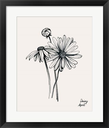 Framed Annual Flowers IV Print