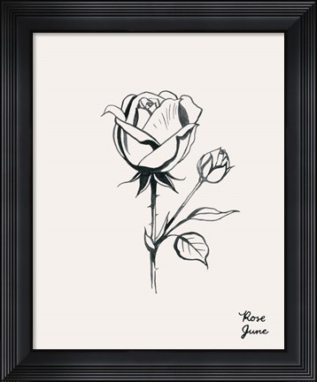 Framed Annual Flowers VI Print