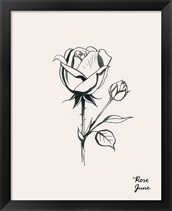 Framed Annual Flowers VI Print