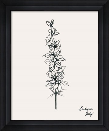 Framed Annual Flowers VII Print